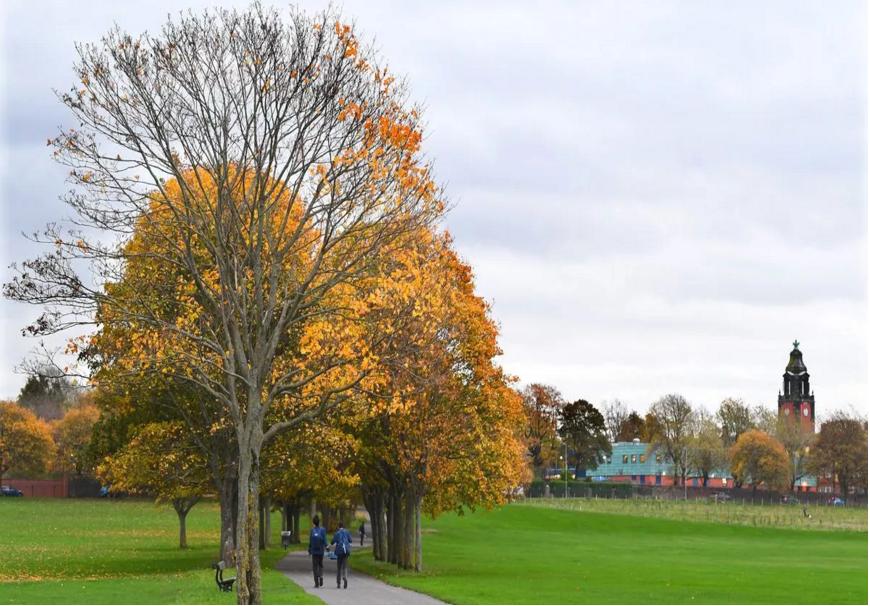 The Mystery' Playground