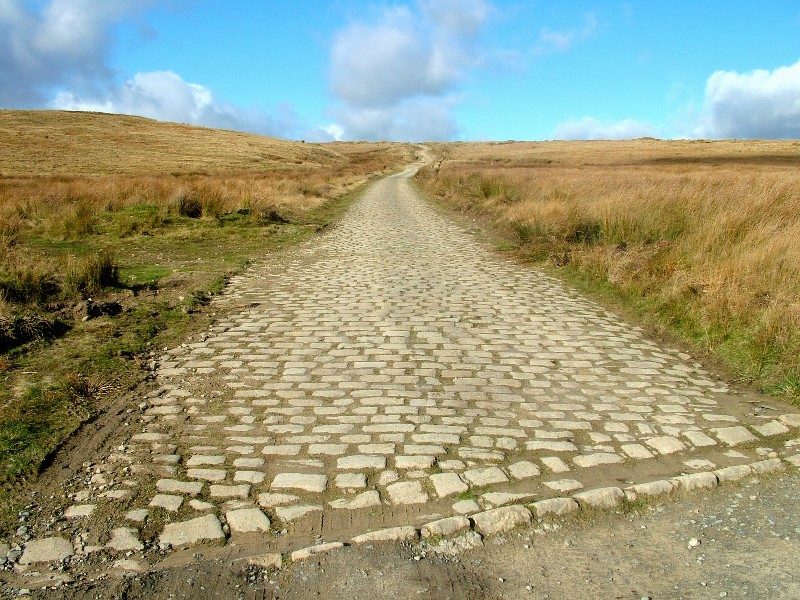 The "Cotton Famine" Road