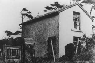 Higher_Bebington_Quarry_Lin.jpg