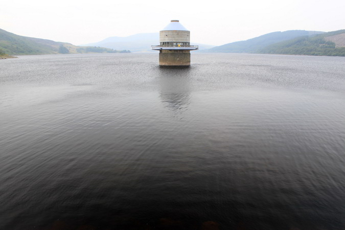 Celyn Res